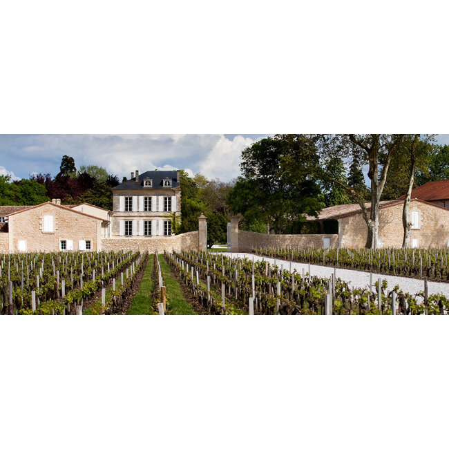 Château d'Armailhac 5e Cru Pauillac 2024 - Pauillac, Bordeaux, Frankrijk