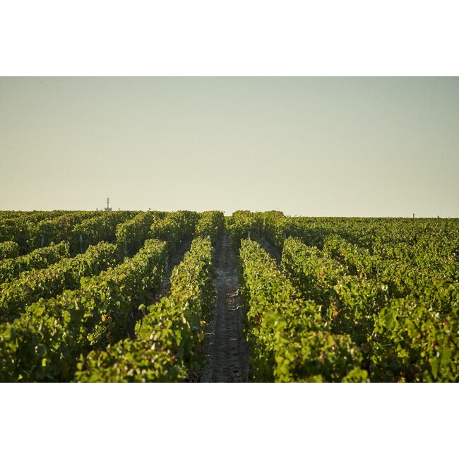 Château Prieuré-Lichine 4e Cru Margaux 2024 - Margaux, Bordeaux, Frankrijk