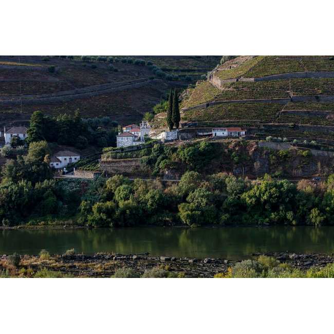 Quinta das Sequeirinhas L.B.V. Late Bottled Vintage Porto 2021 - Douro, Portugal