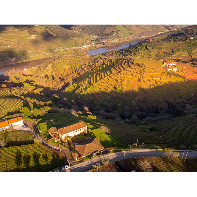 Quinta das Sequeirinhas L.B.V. Late Bottled Vintage Porto 2021 - Douro, Portugal