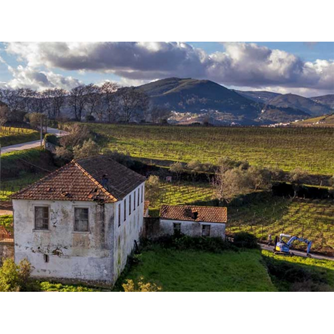 Quinta das Sequeirinhas L.B.V. Late Bottled Vintage Porto 2021 - Douro, Portugal