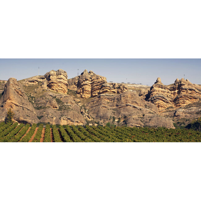 Bodegas Marqués de Reinosa Rioja Reserva Colección Privada Garnacha 2019 - Rioja, Spanje