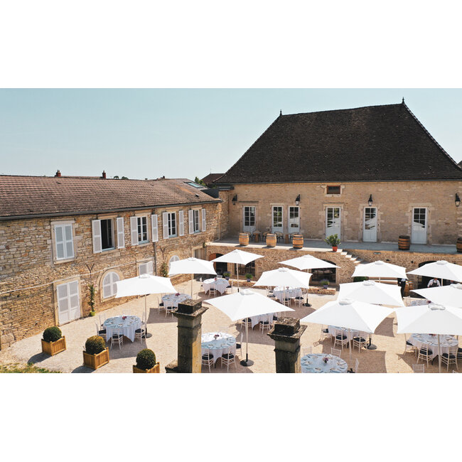Maison Chanzy Puligny-Montrachet Les Reuchaux 2023 - Bourgogne, Frankrijk