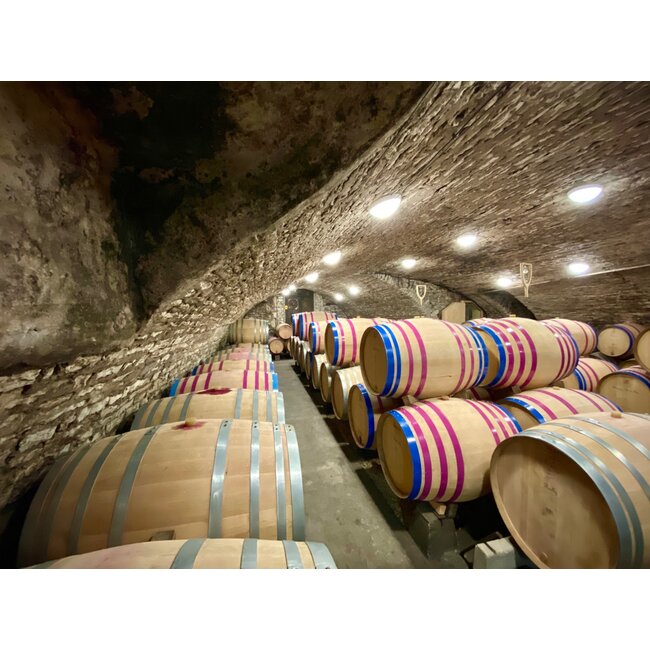 Maison Chanzy Puligny-Montrachet Les Reuchaux 2023 - Bourgogne, Frankrijk