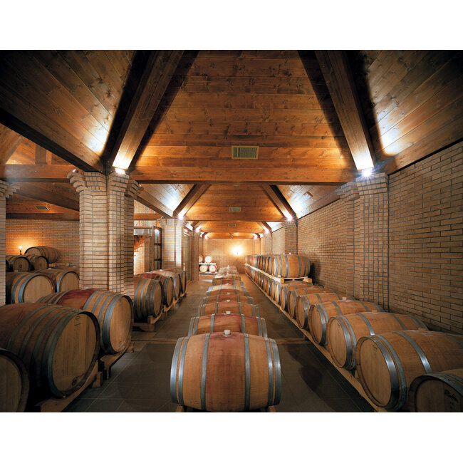 Vignamadre Famiglia di Carlo Capo le Vigne Montepulciano d'Abruzzo D.O.C. - Abruzzo, Italië