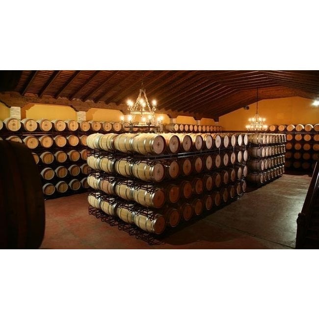 Bodegas Cristo de la Vega Camina Roble Tempranillo / Syrah - La Mancha, Spanje