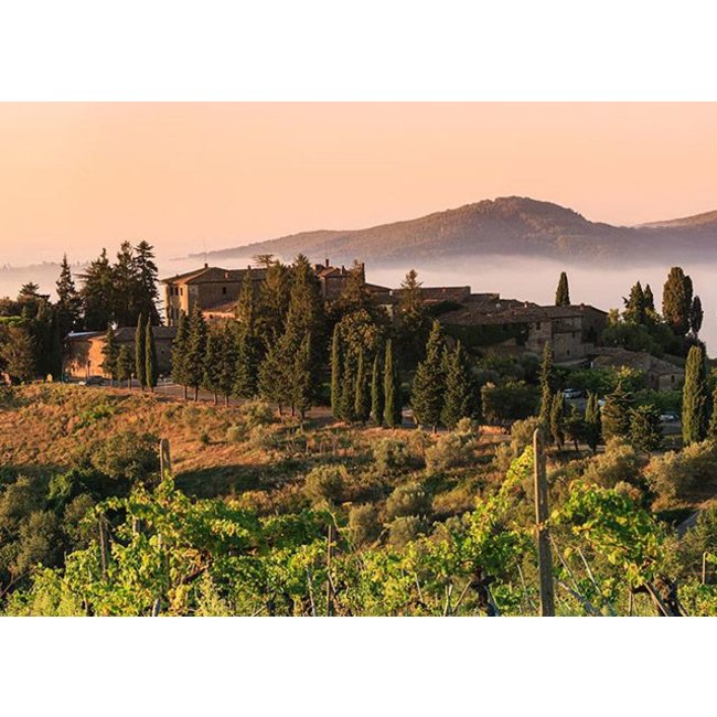 Fattoria di Castelvecchi Capotondo Chianti Classico  D.O.C.G. - Toscane, Italië