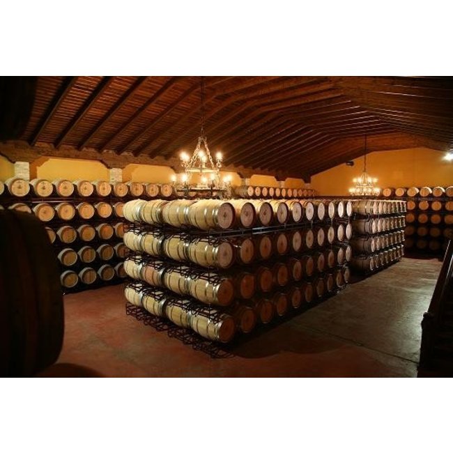 Bodegas Cristo de la Vega Camina Tempranillo Rosé - La Mancha, Spanje