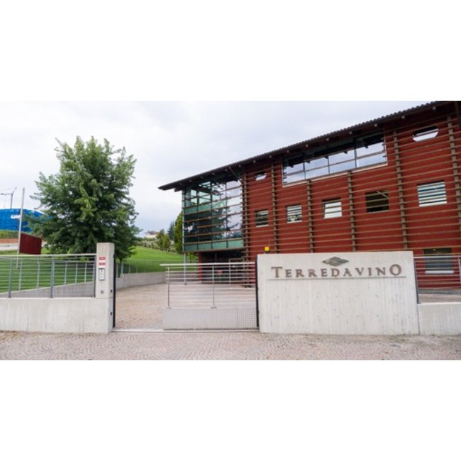 Vite Colte Moscato d'Asti D.O.C.G. Monticelli Terre da Vino - Piëmonte, Italië