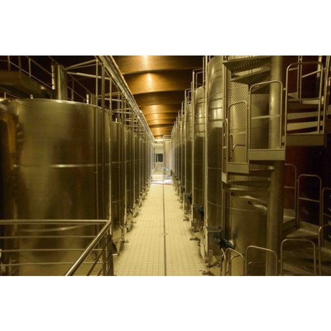 Vite Colte Moscato d'Asti D.O.C.G. Monticelli Terre da Vino - Piëmonte, Italië