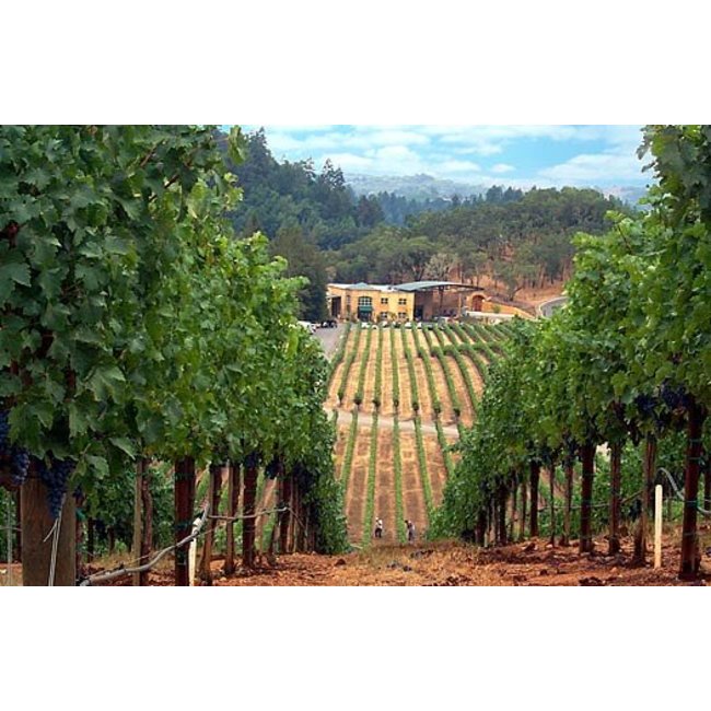 Vite Colte Malvasia di Castelnuovo Don Bosco Terre da Vino - Piëmonte, Italië