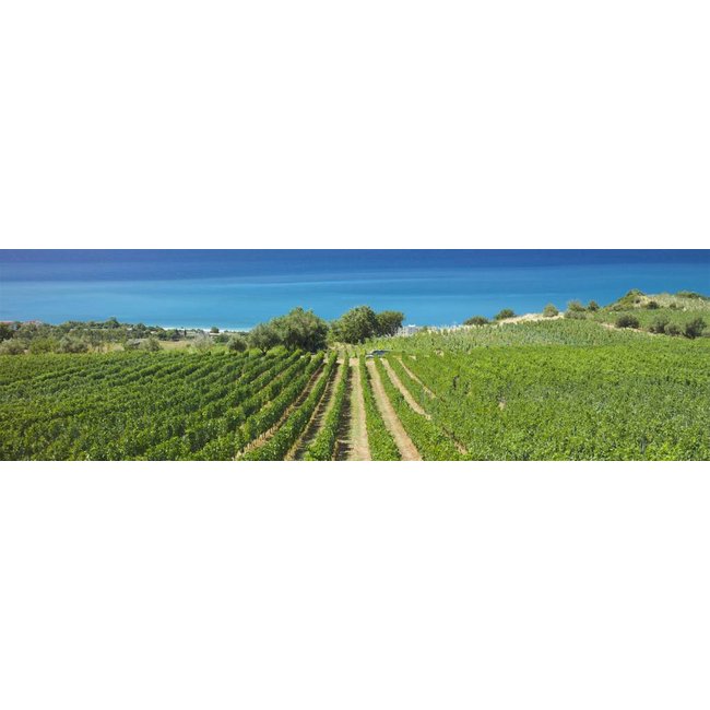 Odoardi Terra Damia I.G.T. 2016 - Calabrië, Italië