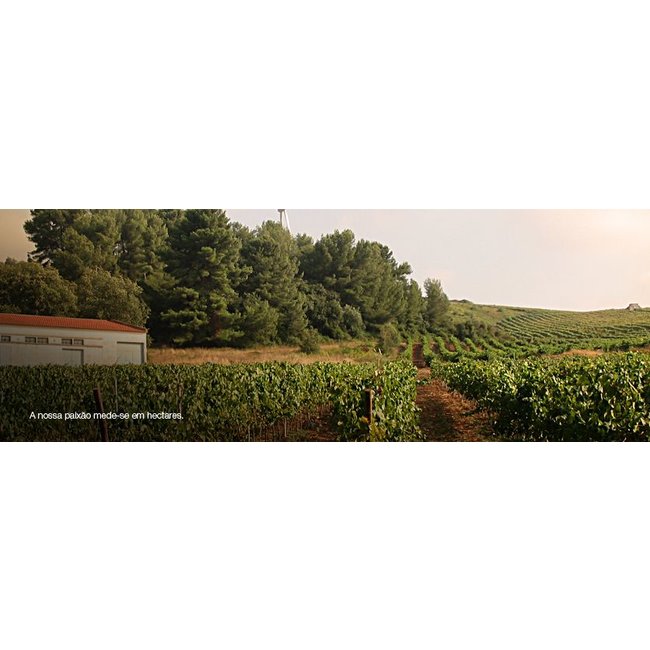 TintaBoa Quinta da Casaboa - Lissabon, Portugal