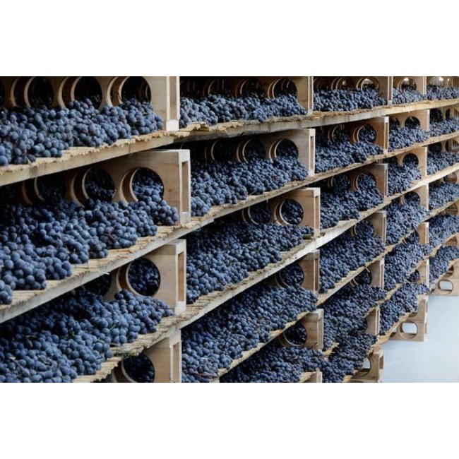 "A" Appassimento Progetto - Puglia, Italië