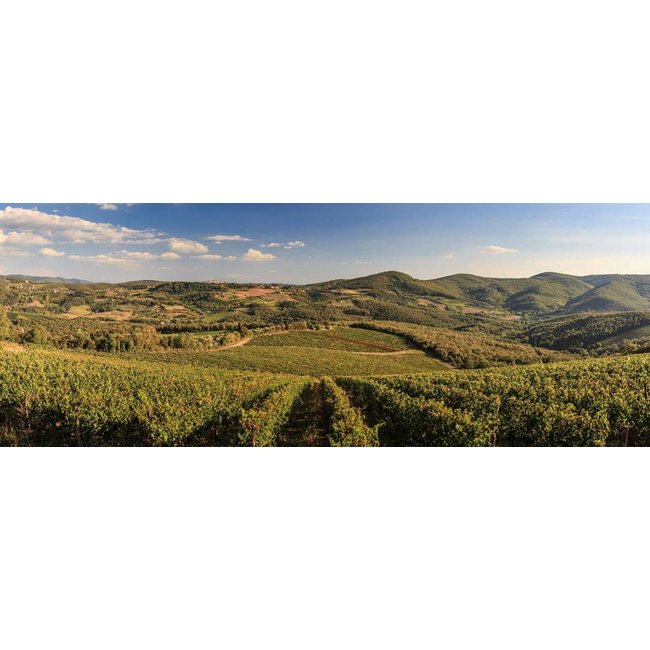 Chianti Classico D.O.C.G. Riserva Lodolaio 2019 Castelvecchi - Toscane, Italië