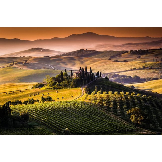 Chianti Classico D.O.C.G. Riserva Lodolaio 2019 Castelvecchi - Toscane, Italië