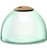 L.S.A. Canopy Pflanzen Terrarium 22 cm