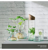 L.S.A. Canopy Glas 350 ml 4er Set