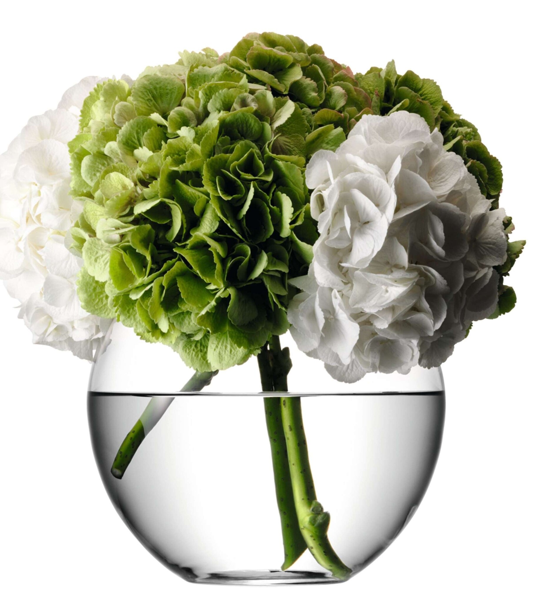 L.S.A. Flower Vaas 22 cm