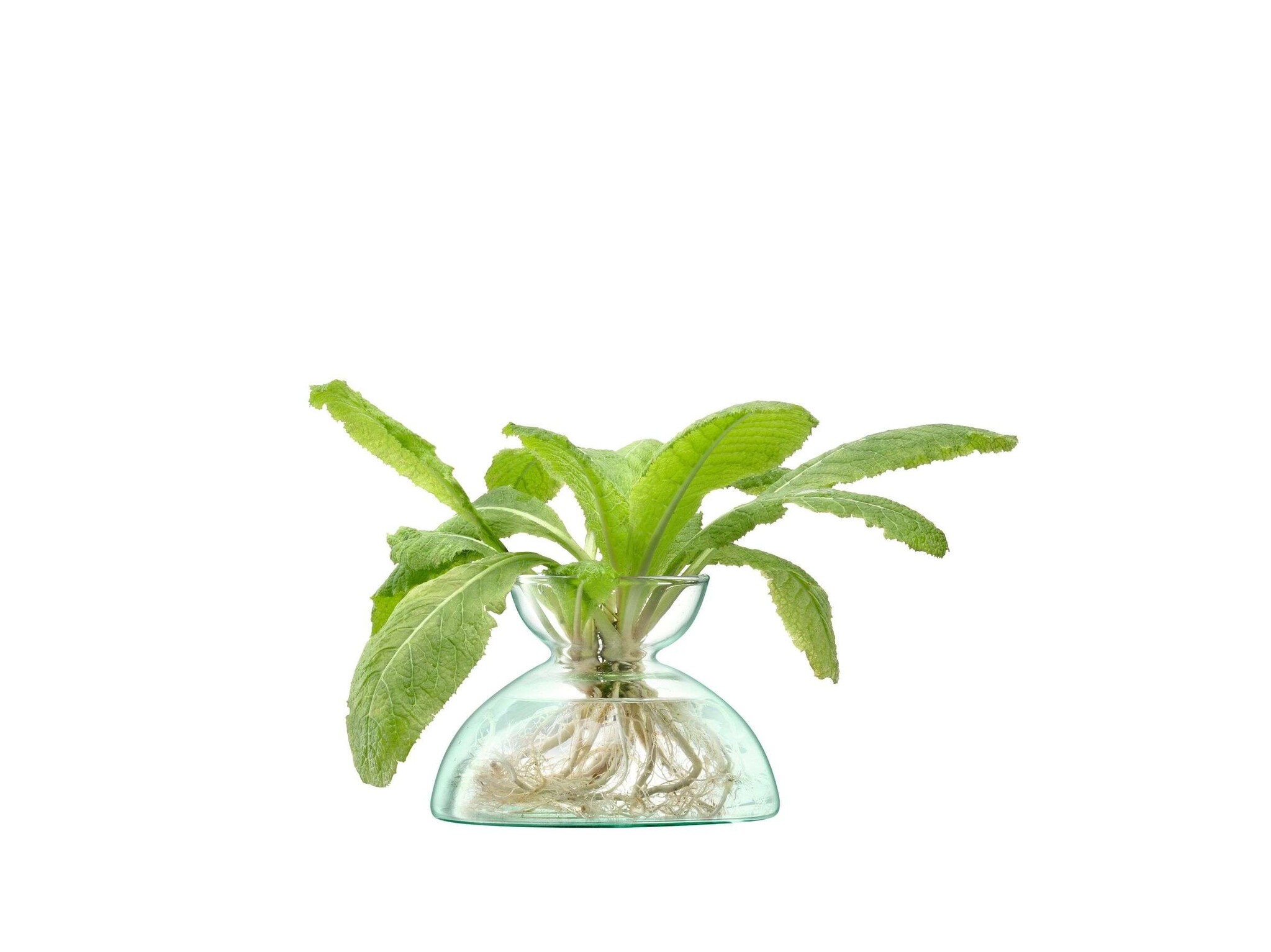 L.S.A. Canopy Vase 9,5cm