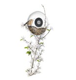Eva Solo Vogelfutterspender für Fenster klein Ø 14,3 cm