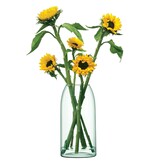 L.S.A. Canopy Vase Recycled 13,5 cm