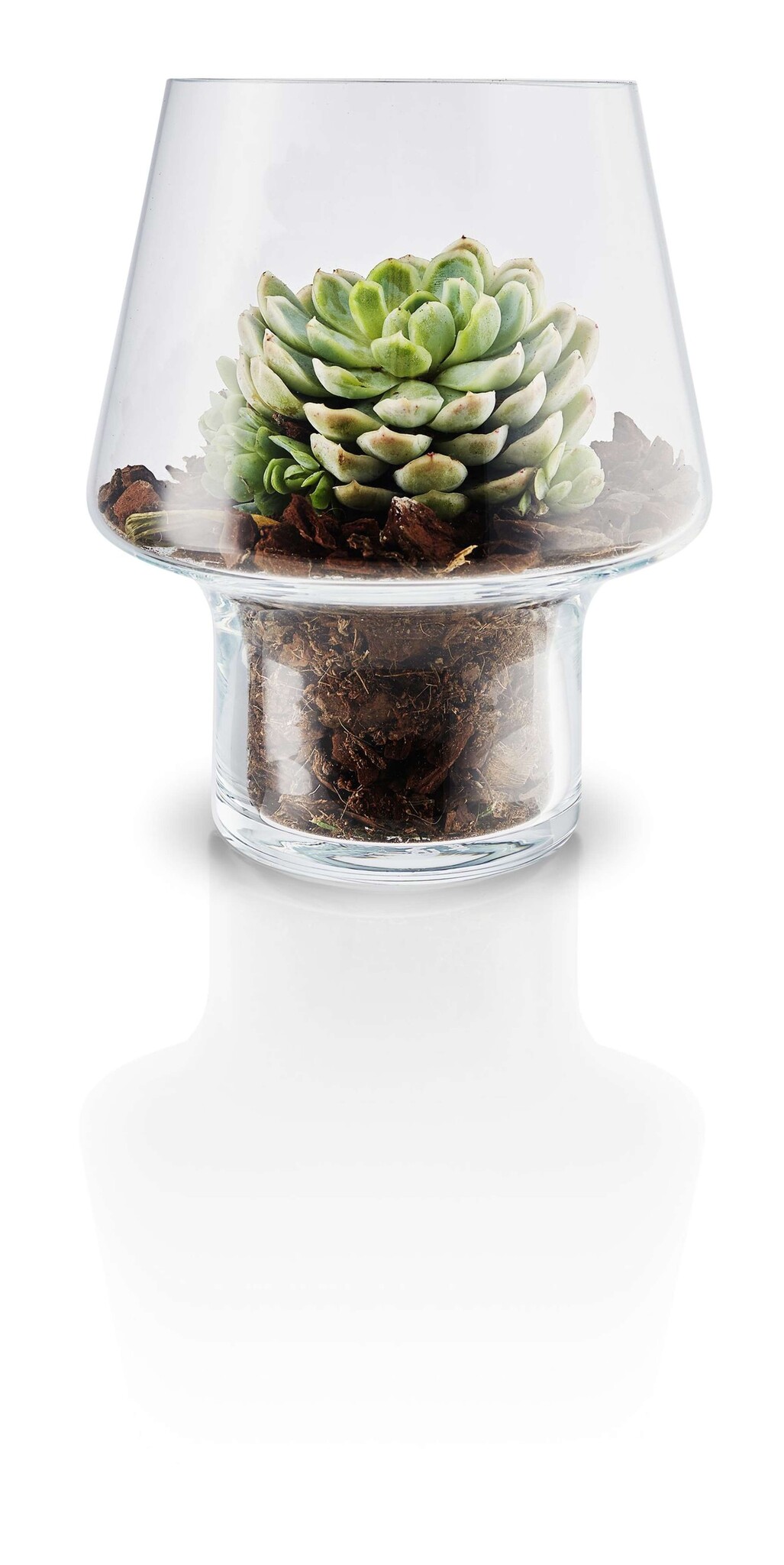 Eva Solo Succulent Vaas 15cm