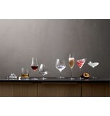 Eva Solo Glas Champagne 200 ml Set van 2 Stuks