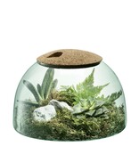 L.S.A. canopy Pflanzen Terrarium 16,5 cm