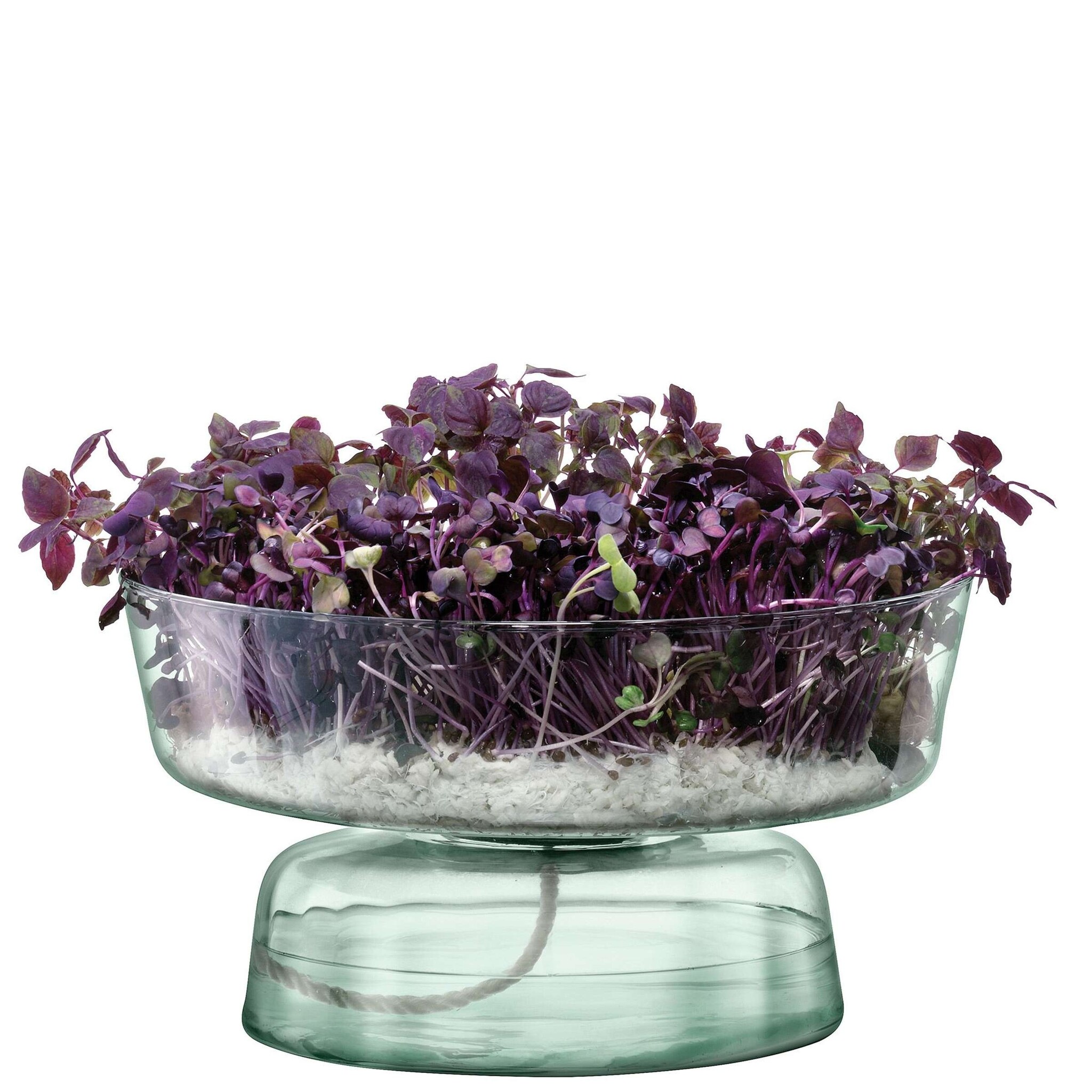 L.S.A. Canopy Vase mit Bewässerungssystem Recycelt 14,5 cm