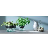 L.S.A. Canopy Vase mit Bewässerungssystem Recycelt 14,5 cm