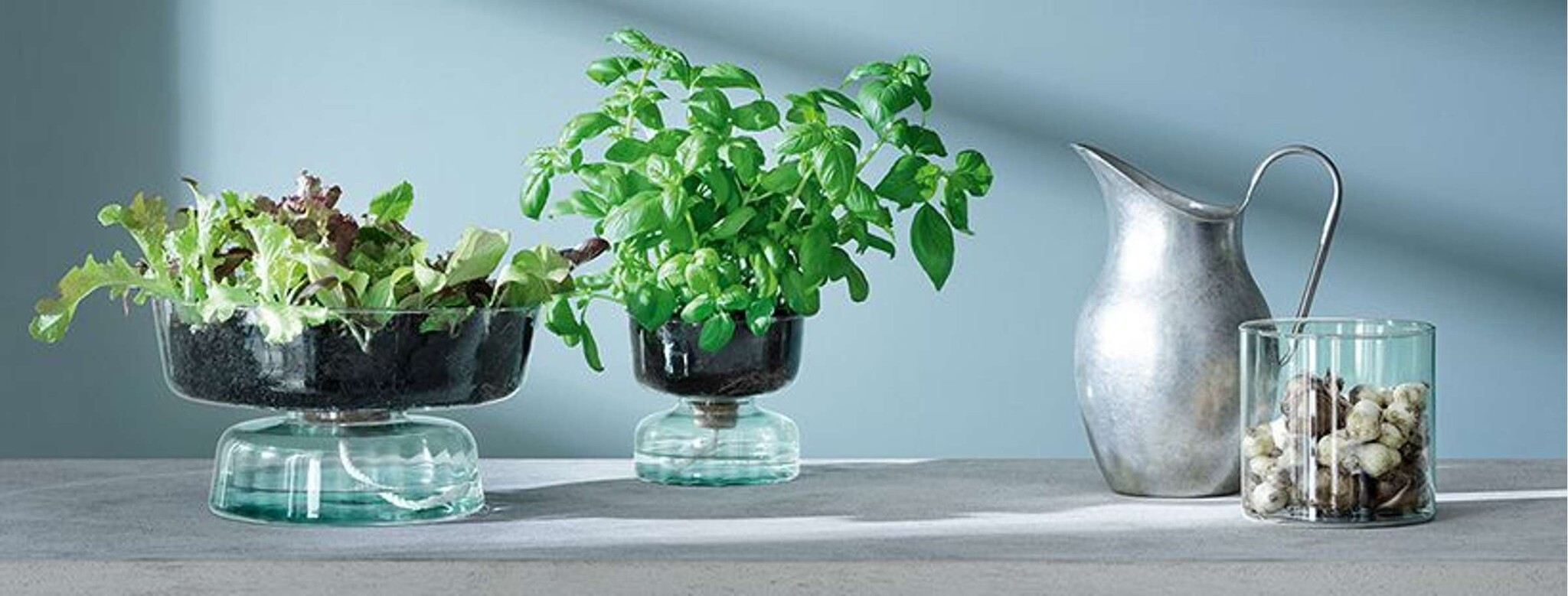 L.S.A. Canopy Vaas met Bewateringsysteem 14,5 cm