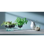 L.S.A. Canopy Vase mit Bewässerungssystem Recycelt 14,5 cm