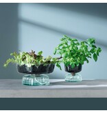 L.S.A. Canopy Vaas met Bewateringsysteem 14,5 cm