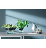 L.S.A. Canopy Vase mit Bewässerungssystem Recycelt 14,5 cm