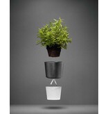 Eva Solo Kräutertopf mit Reservoir 11 cm