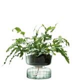 L.S.A. Canopy Self Watering Vase 22cm