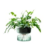 L.S.A. Canopy Self Watering Vase 22cm