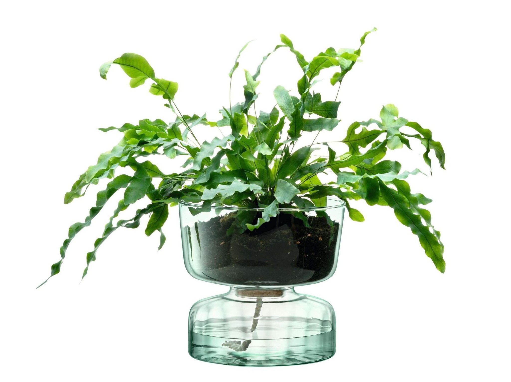 L.S.A. Canopy Vaas met Bewateringsysteem 22 cm