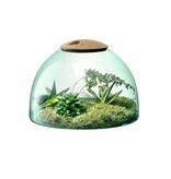 L.S.A. Canopy Pflanzen Terrarium 22 cm