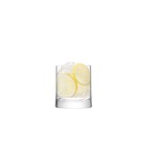 L.S.A. Gin Wasserglas 310 ml 2er-Set