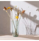 L.S.A. Mia Vase oder Windlicht 33 cm