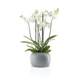 Eva Solo Bloempot 19 cm