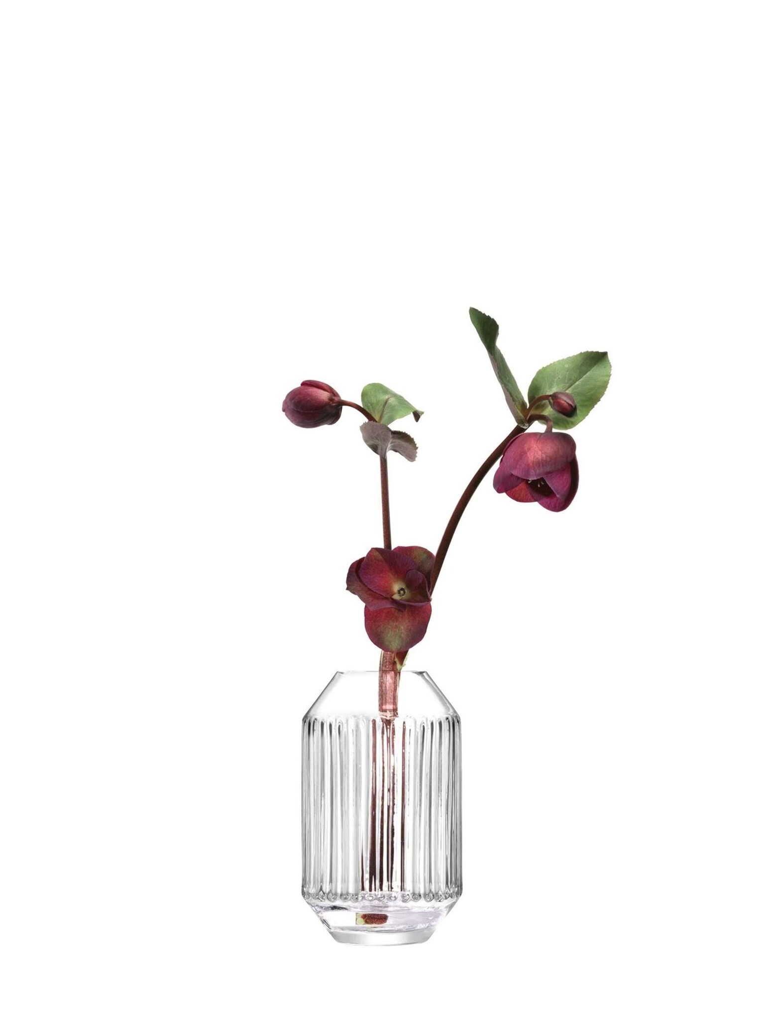 L.S.A. Rotunda Vaas H 15 cm