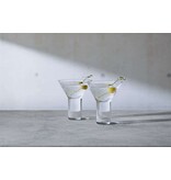 L.S.A. Wodka Glas Cocktail 240 ml 2er Set