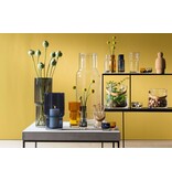 L.S.A. Utility Longdrinkglas 390 ml Set van 2 Stuks