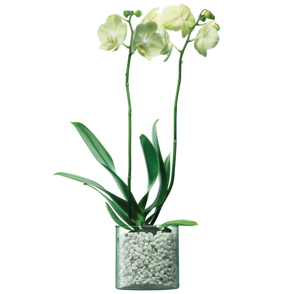 L.S.A. Canopy Vase Recycled 32 cm