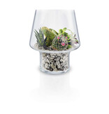 Eva Solo Succulent Vaas 15cm