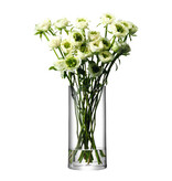 L.S.A. Column Vase H 28 cm