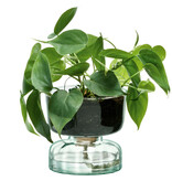 L.S.A. Canopy Vaas met Bewateringsysteem 13 cm